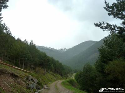 Puerto,Chorro Navafría; como hacer amigos en madrid rutas a caballo sierra de madrid mercadillo med